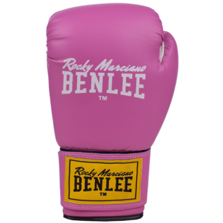 Перчатки боксерские Benlee RODNEY 12oz