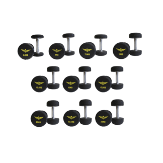 Гантели уретановые 2.5-25 кг 10 пар 275 кг Fitnessport FDS-21