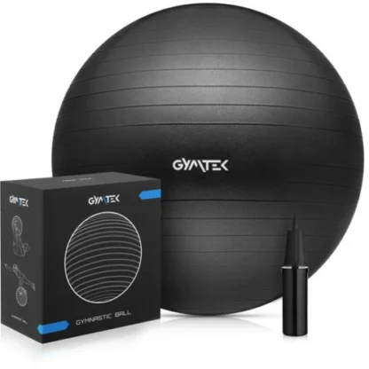 Фитбол Gymtek 65 см + насос