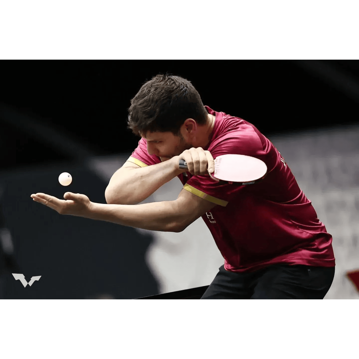 Ракетка для настольного тенниса Butterfly Ovtcharov Prime C (Carbon) FL - Image 6